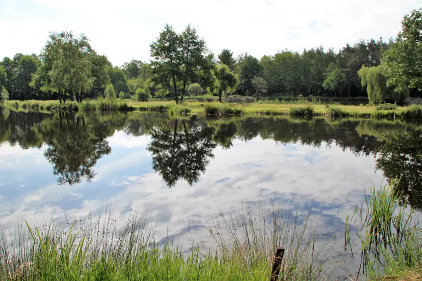 Gîte de pêche en Côte-d’Or pour 12 personnes avec accès à 2 étangs privés de 1,9 ha