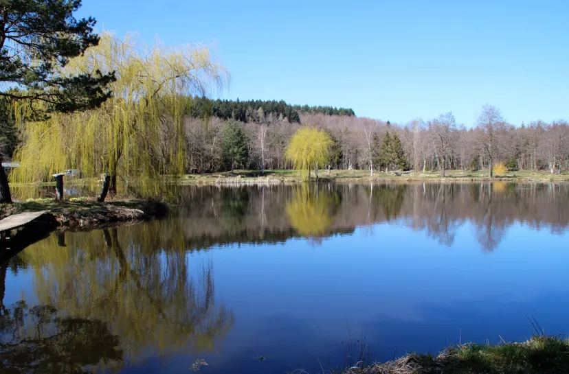 Gîte de pêche en Côte-d’Or pour 12 personnes avec accès à 2 étangs privés de 1,9 ha