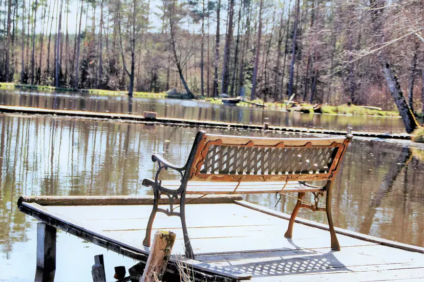 Gîte de pêche en Côte-d’Or pour 12 personnes avec accès à 2 étangs privés de 1,9 ha