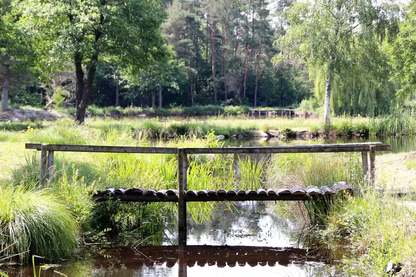Gîte de pêche en Côte-d’Or pour 12 personnes avec accès à 2 étangs privés de 1,9 ha