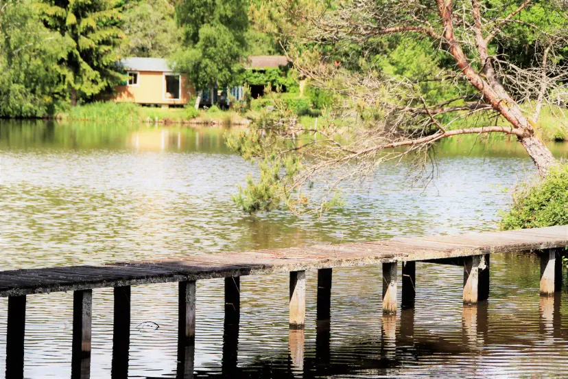 Gîte de pêche en Côte-d’Or pour 12 personnes avec accès à 2 étangs privés de 1,9 ha