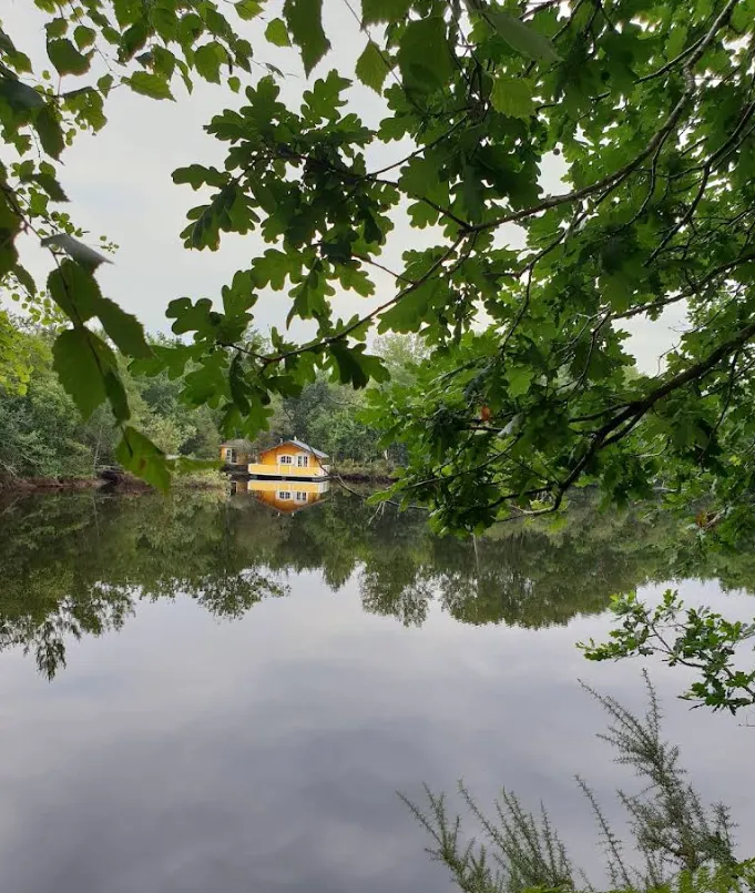 Séjour pêche avec chalet sur étang privé de 1,2 hectares en cœur de forêt dans le bassin d'Arcachon