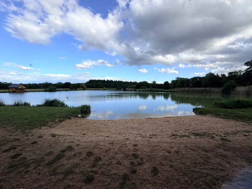 Pêche aux carnassiers en étang privé 2ha, Spot sauvage peu pêché (Centre-Val de Loire)