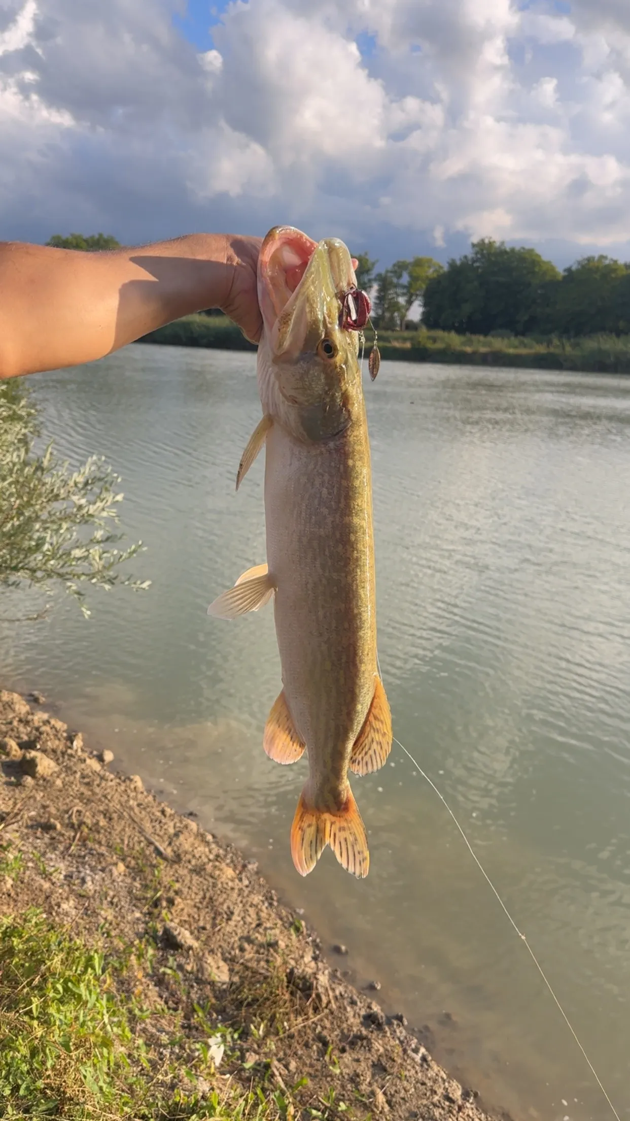 Pêche aux carnassiers en étang privé 2ha, Spot sauvage peu pêché (Centre-Val de Loire)