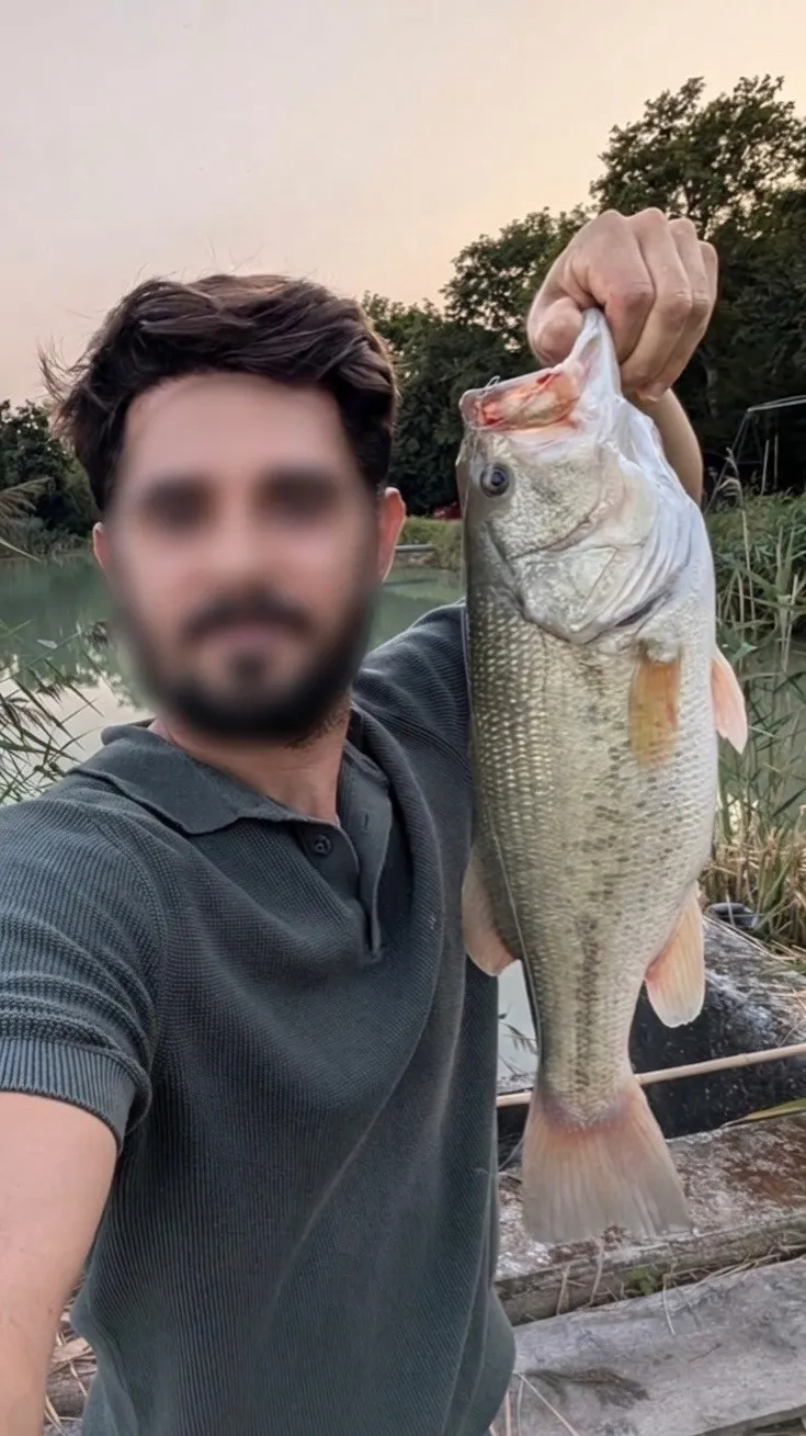 Pêche aux carnassiers en étang privé 2ha, Spot sauvage peu pêché (Centre-Val de Loire)