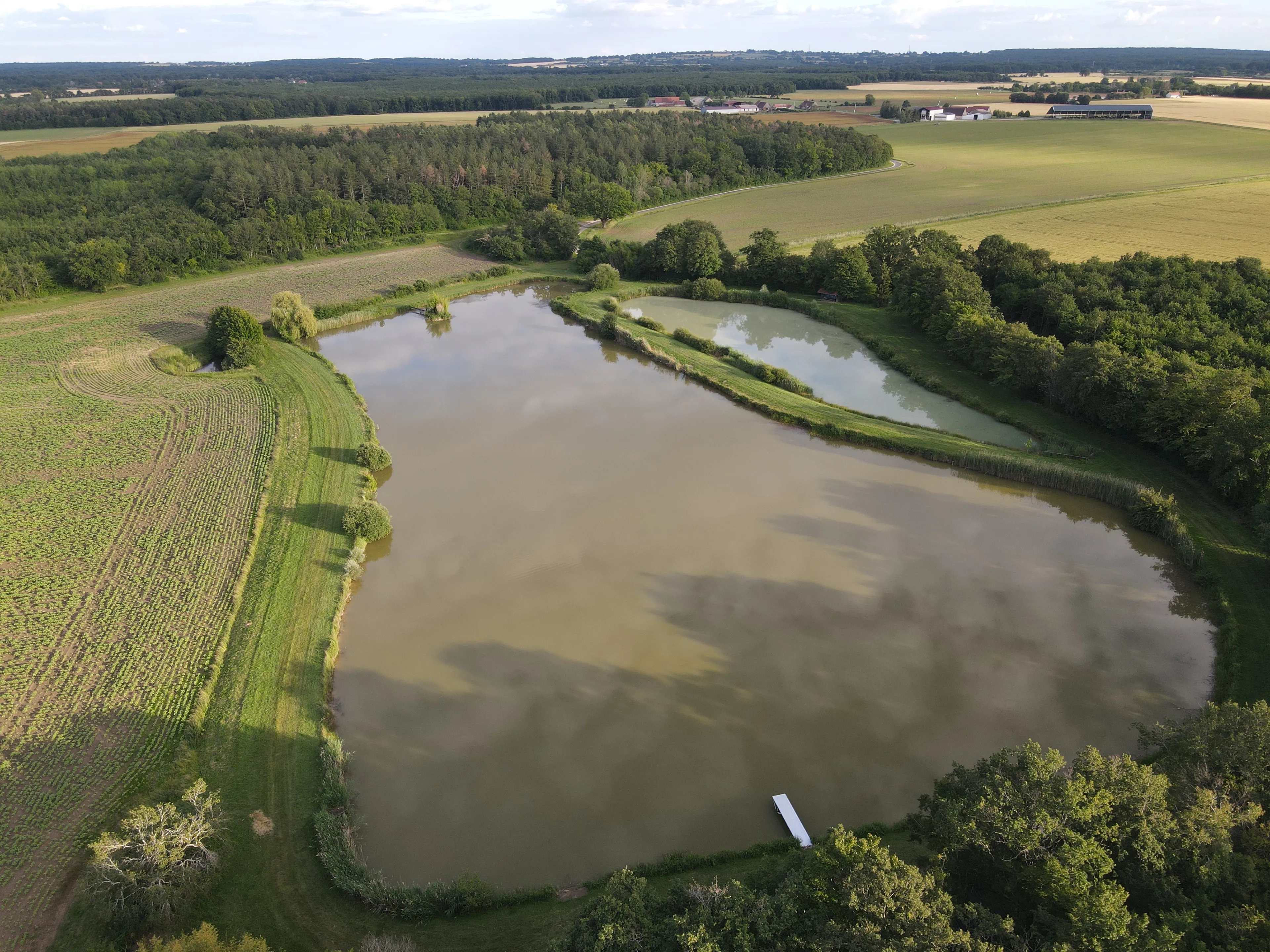 Pêche aux carnassiers en étang privé 2ha, Spot sauvage peu pêché (Centre-Val de Loire)