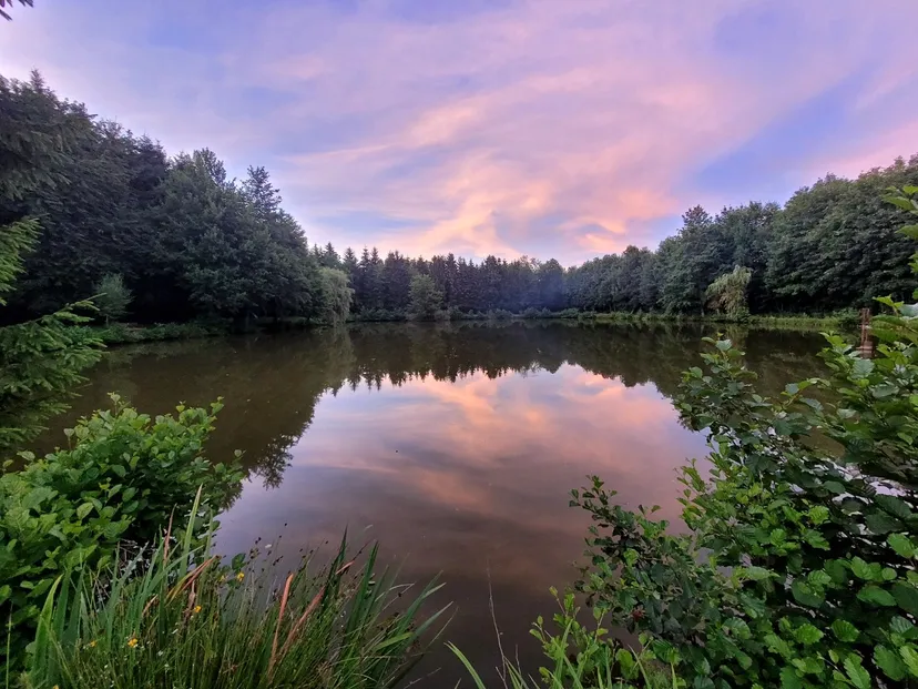 Cabane de pêche 2 personnes avec étangs privés en Ardennes