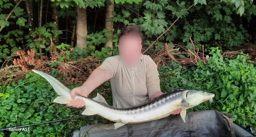 Cabane de pêche 2 personnes avec étangs privés en Ardennes