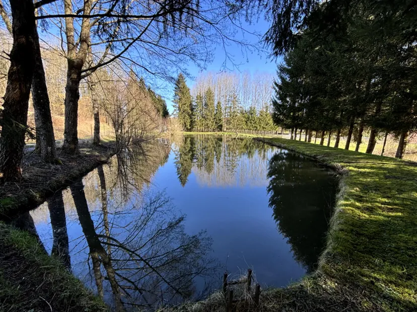 Cabane de pêche 2 personnes avec étangs privés en Ardennes