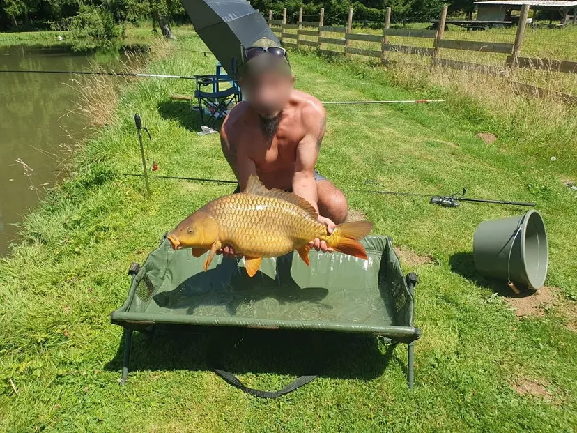 Cabane de pêche 2 personnes avec étangs privés en Ardennes