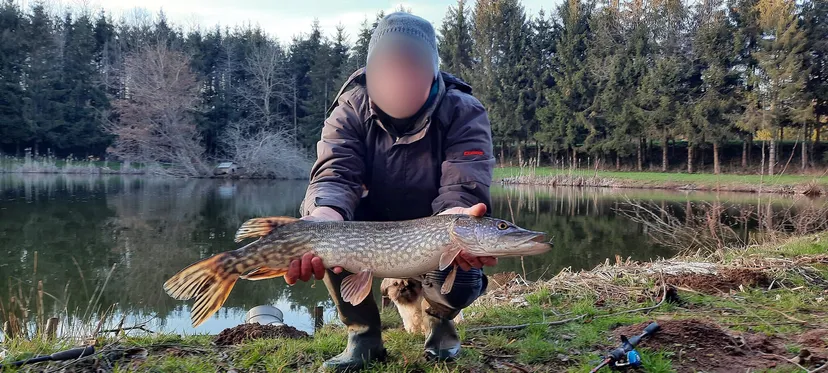 Cabane de pêche 2 personnes avec étangs privés en Ardennes