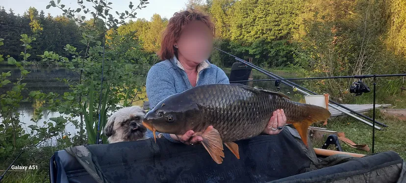 Cabane de pêche 2 personnes avec étangs privés en Ardennes