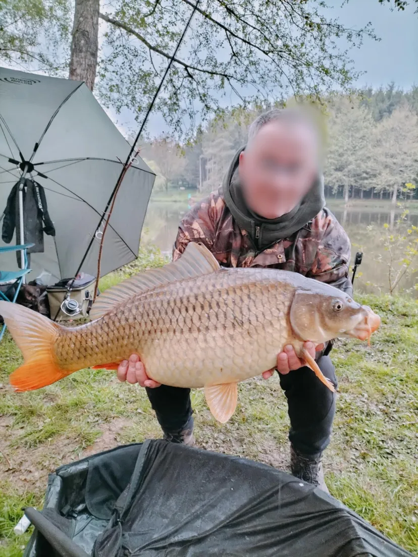 Cabane de pêche 2 personnes avec étangs privés en Ardennes