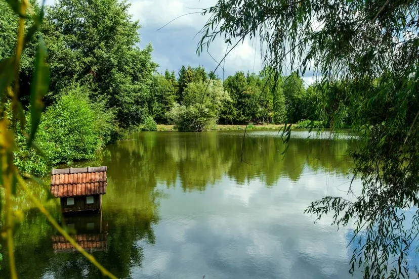 Cabane de pêche 2 personnes avec étangs privés en Ardennes