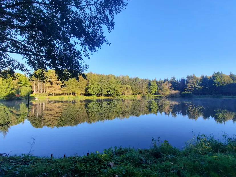 Chambre d’hôtes pouvant accueillir 2 personnes avec étangs privés en Ardennes