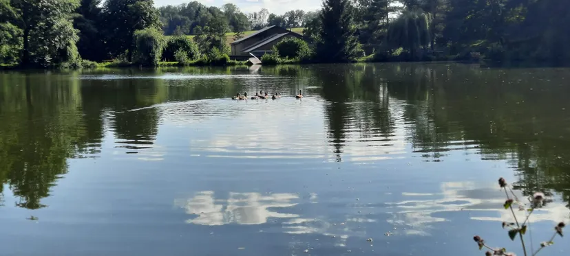 Chambre d’hôtes pouvant accueillir 2 personnes avec étangs privés en Ardennes