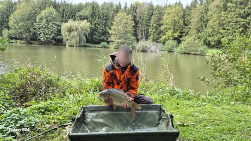 Chambre d’hôtes pouvant accueillir 2 personnes avec étangs privés en Ardennes