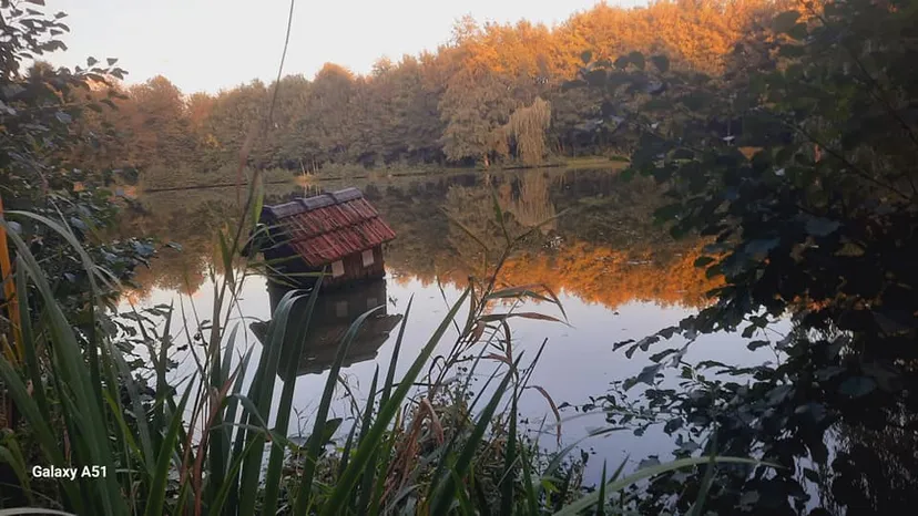 Chambre d’hôtes pouvant accueillir 2 personnes avec étangs privés en Ardennes