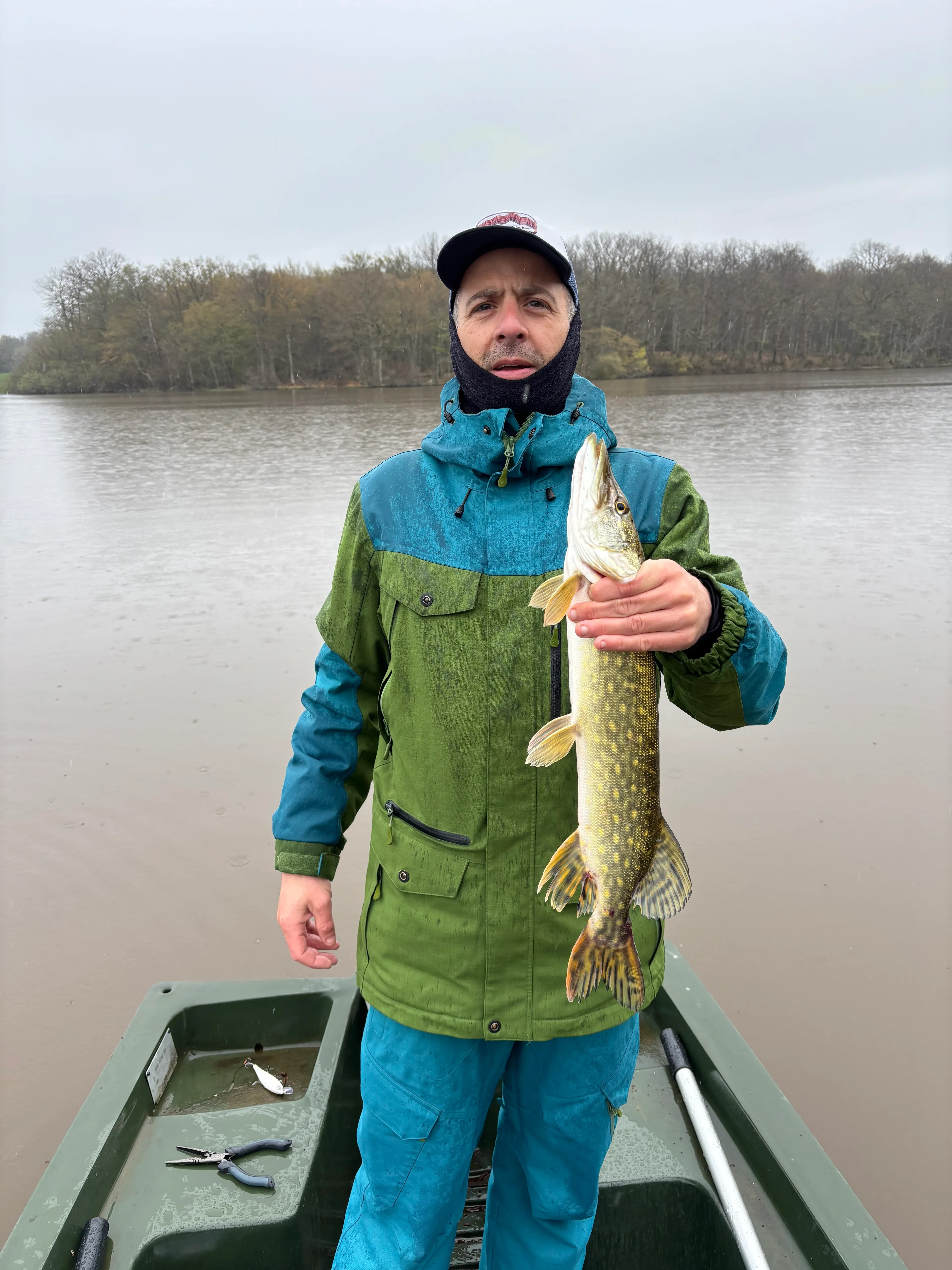 Pond of 39.54 ac; upscale cottage, nature, calm, beauty, serenity (7 beds)