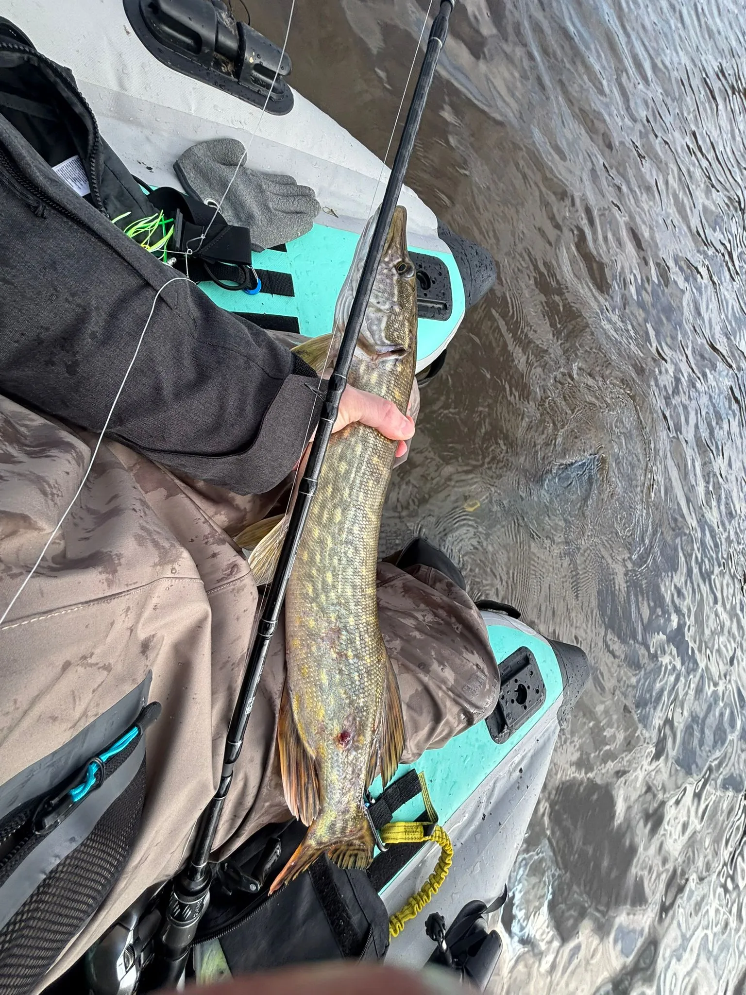 Pond of 39.54 ac; upscale cottage, nature, calm, beauty, serenity (7 beds)