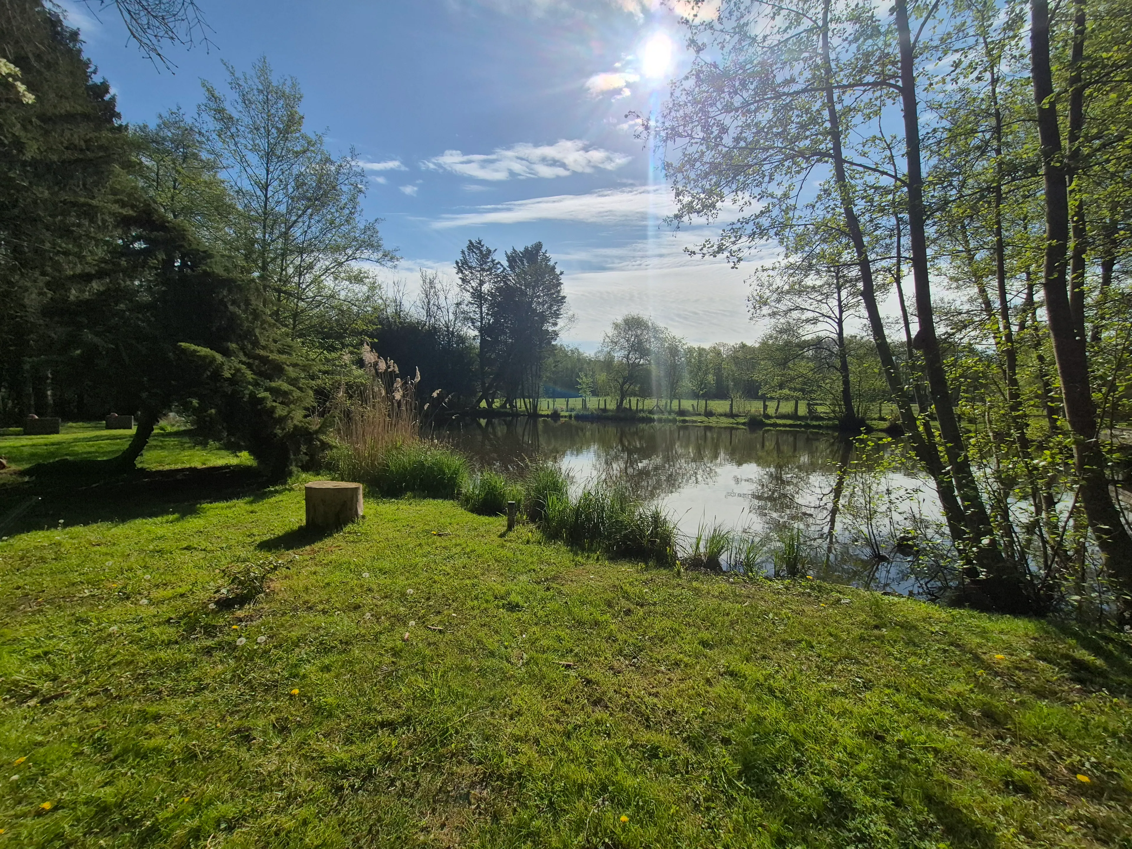 Etang avec maison de 30 m2