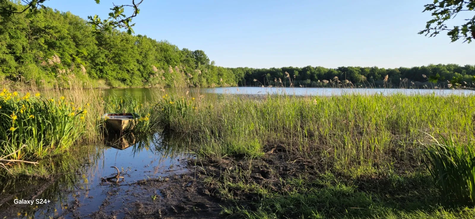 Magnifique Ă©tang de 12ha Ă louer en privatisation pour un sĂ©jour de pĂȘche