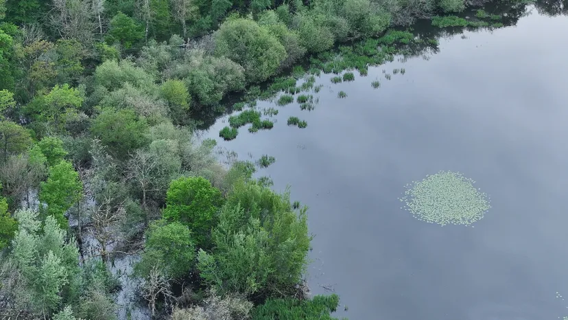 Rental of the cottage with the pond of Pin (Roselière) from 29.65 ac to 1h from Paris
