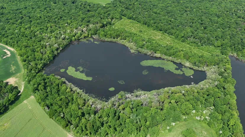 Rental of the cottage with the pond of Pin (Roselière) from 29.65 ac to 1h from Paris