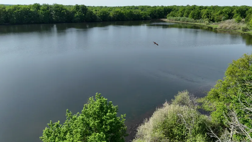 Rental of the cottage with the pond of Pin (Roselière) from 29.65 ac to 1h from Paris