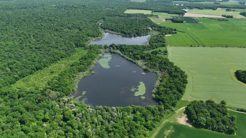 Rental of the cottage with the pond of Pin (Roselière) from 29.65 ac to 1h from Paris