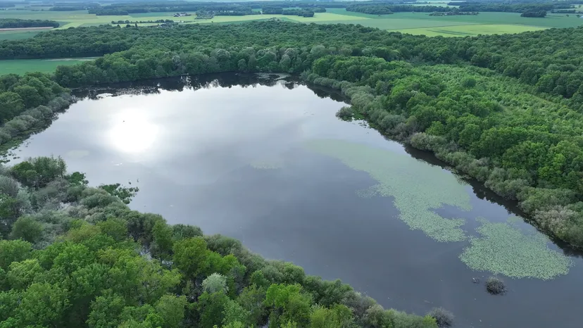 Rental of the cottage with the pond of Pin (Roselière) from 29.65 ac to 1h from Paris
