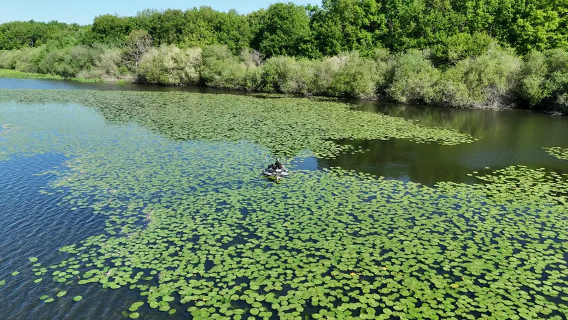 Rental of the cottage with the pond of Pin (Roselière) from 29.65 ac to 1h from Paris