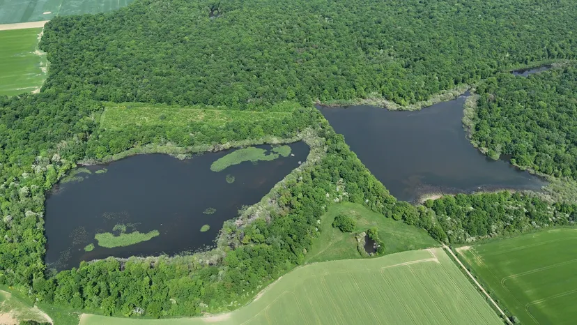 Rental of the cottage with the pond of Pin (Roselière) from 29.65 ac to 1h from Paris
