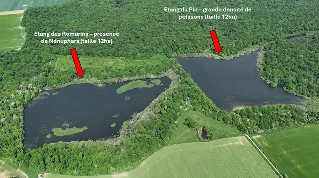 Rental of the cottage with the pond of Pin (Roselière) from 29.65 ac to 1h from Paris