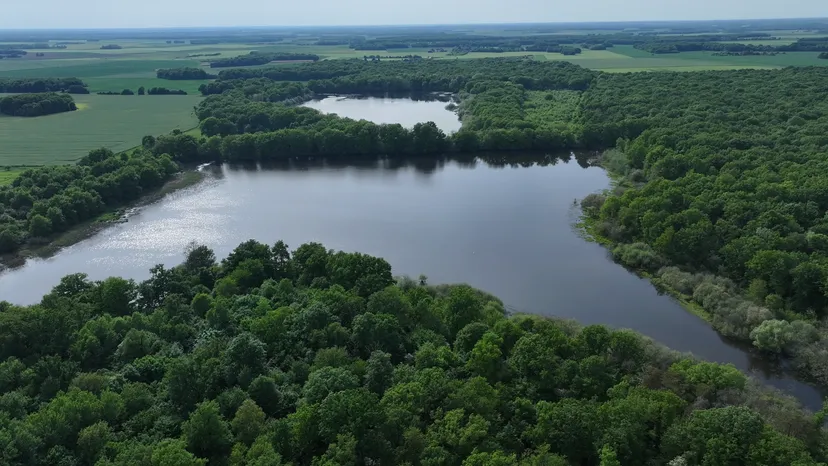 Rental of the cottage with the pond of Pin (Roselière) from 29.65 ac to 1h from Paris