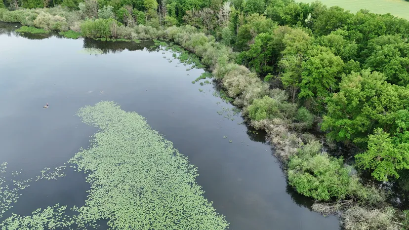 Rental of the cottage with the pond of Pin (Roselière) from 29.65 ac to 1h from Paris