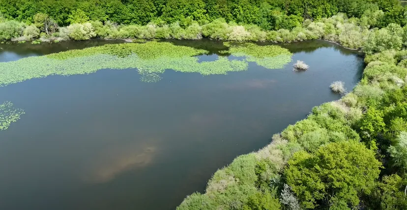 Rental of the pond of the rosemaries 29.65 ac in privatization at 1 h from Paris