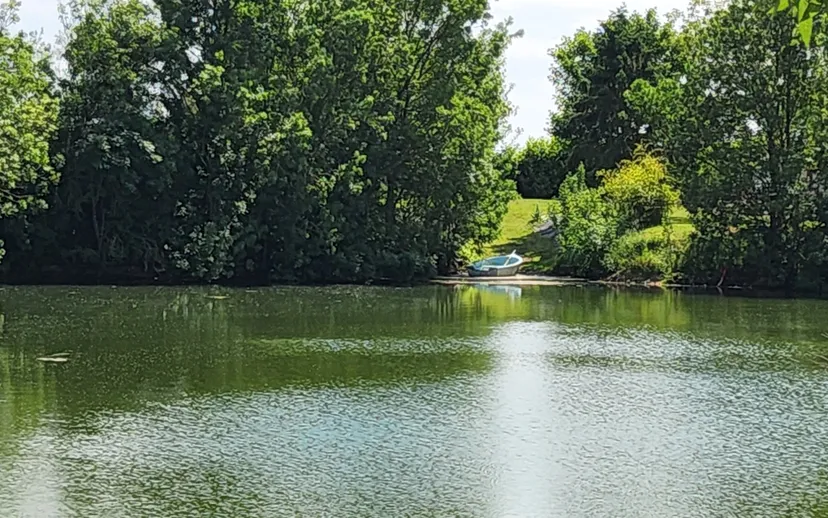 Organize your private or professional events on a comfortable plot with pond