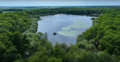 Rental of the Gite with the pond of the rosemaries (Nenuphars) from 29.65 ac to 1 h from Paris