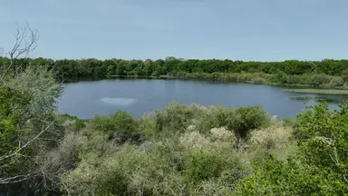 Rental of the Gite with the pond of the rosemaries (Nenuphars) from 29.65 ac to 1 h from Paris