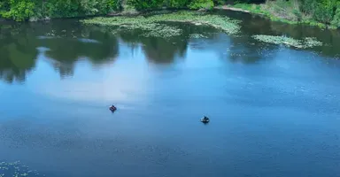 Rental of the Gite with the pond of the rosemaries (Nenuphars) from 29.65 ac to 1 h from Paris
