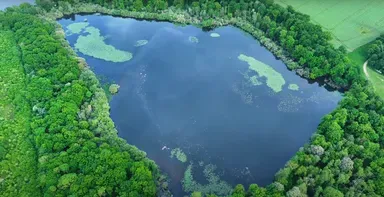 Rental of the Gite with the pond of the rosemaries (Nenuphars) from 29.65 ac to 1 h from Paris