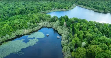 Rental of the Gite with the pond of the rosemaries (Nenuphars) from 29.65 ac to 1 h from Paris