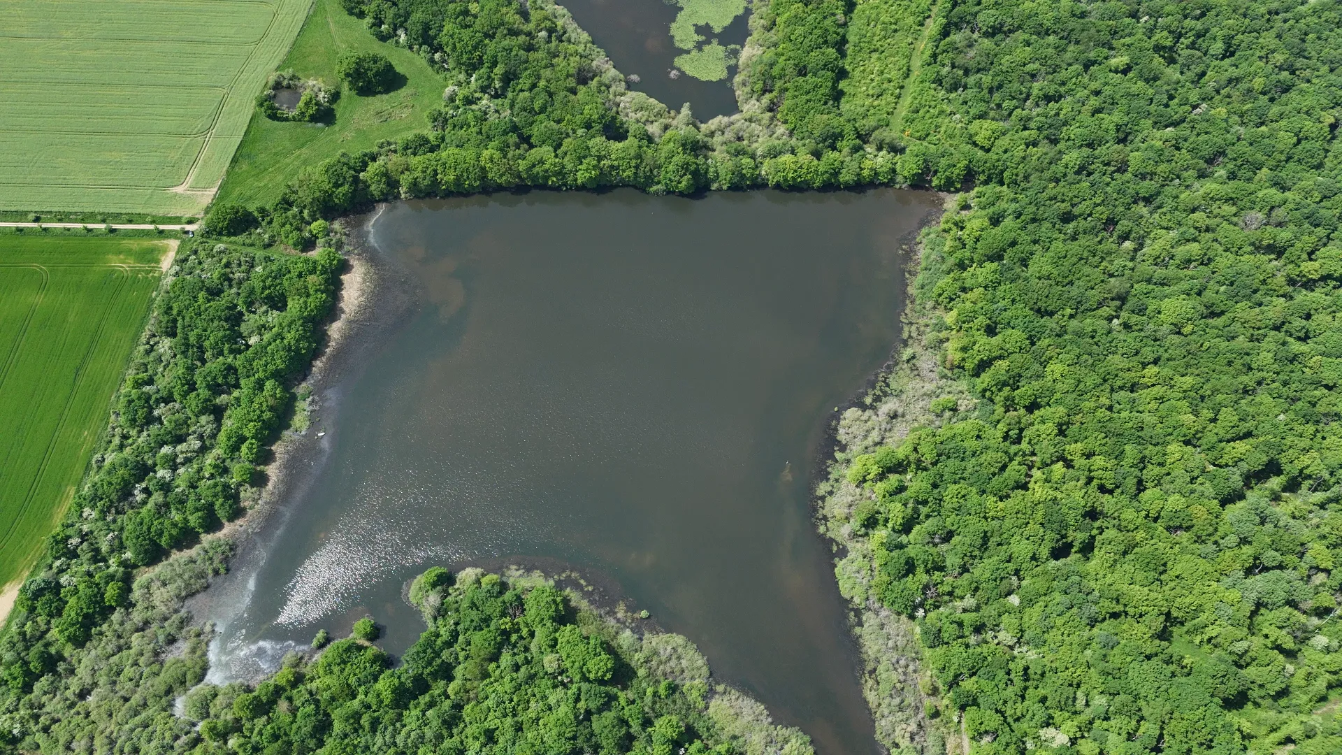 Location d'une chambre pour 2 dans le relais des pêcheurs + l'étang du Pin (Roselière) de 12 HA