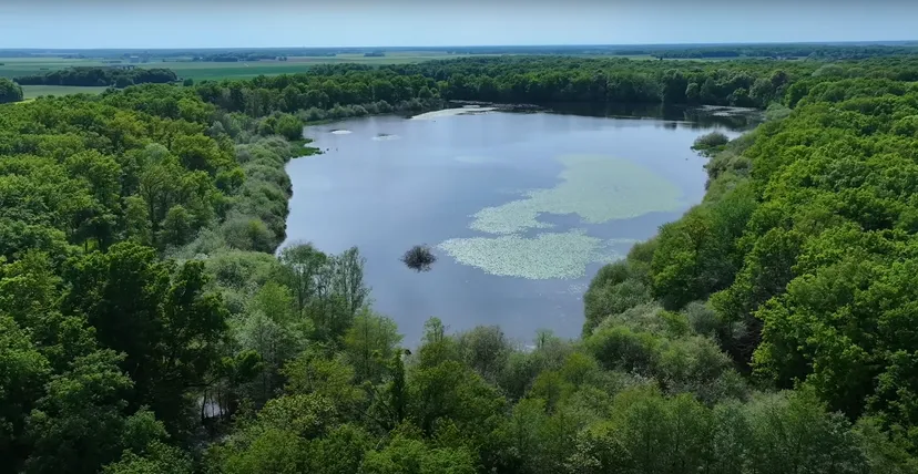 Rental of 2 bedrooms for 2 in the relay of the fishermen + the pond of the rosemaries (Nenuphars) 29.65 ac