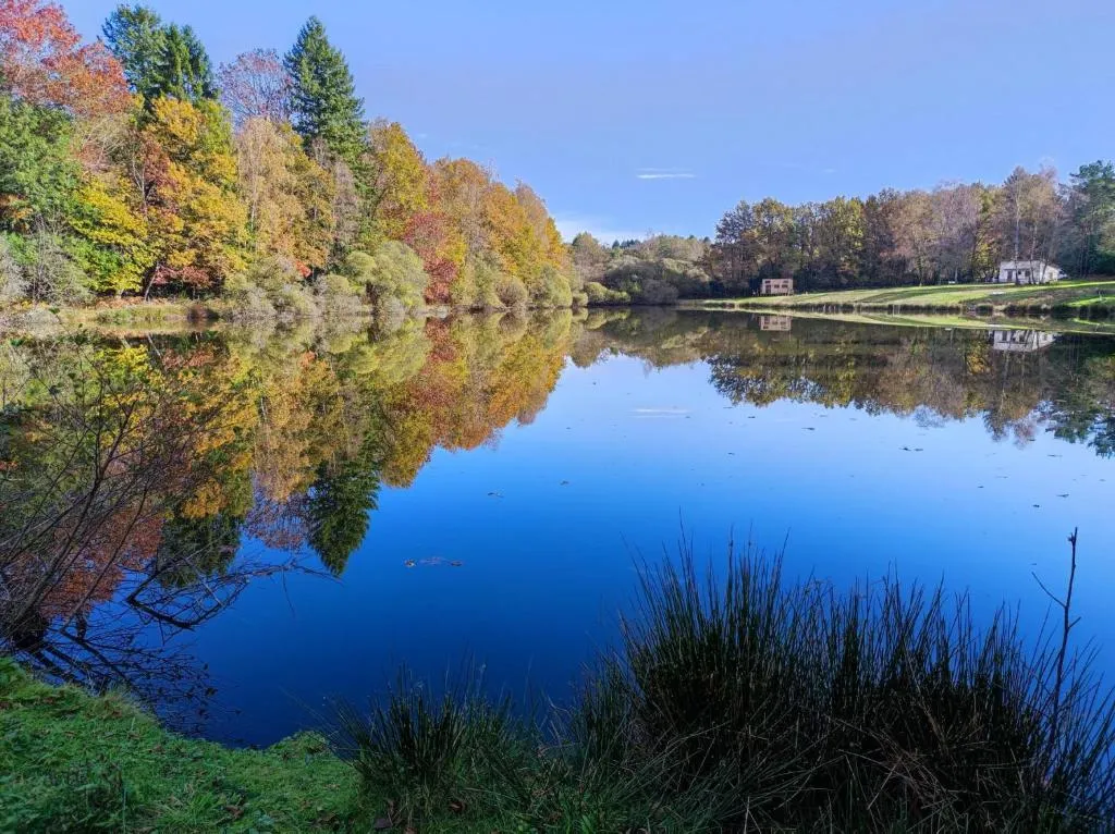 Tiny House at the foot of a 3.09 ac pond 40 minutes from Limoges