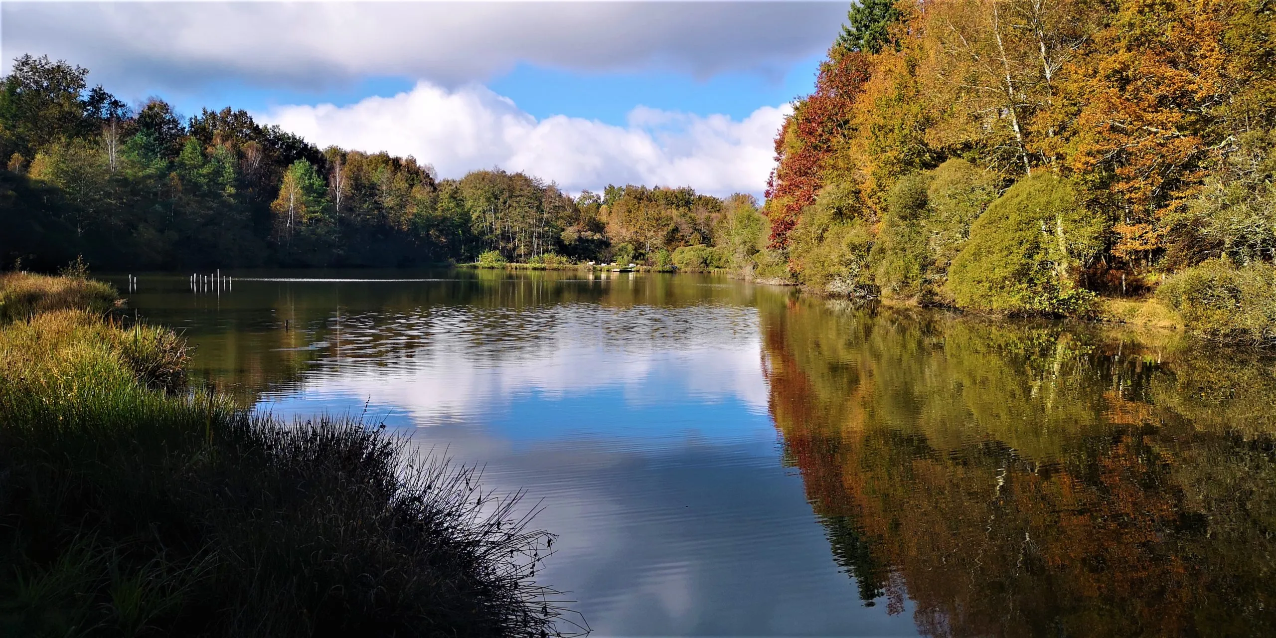 Pêche et camping sur étang privé de 1,25 ha au cœur du Parc naturel Périgord-Limousin