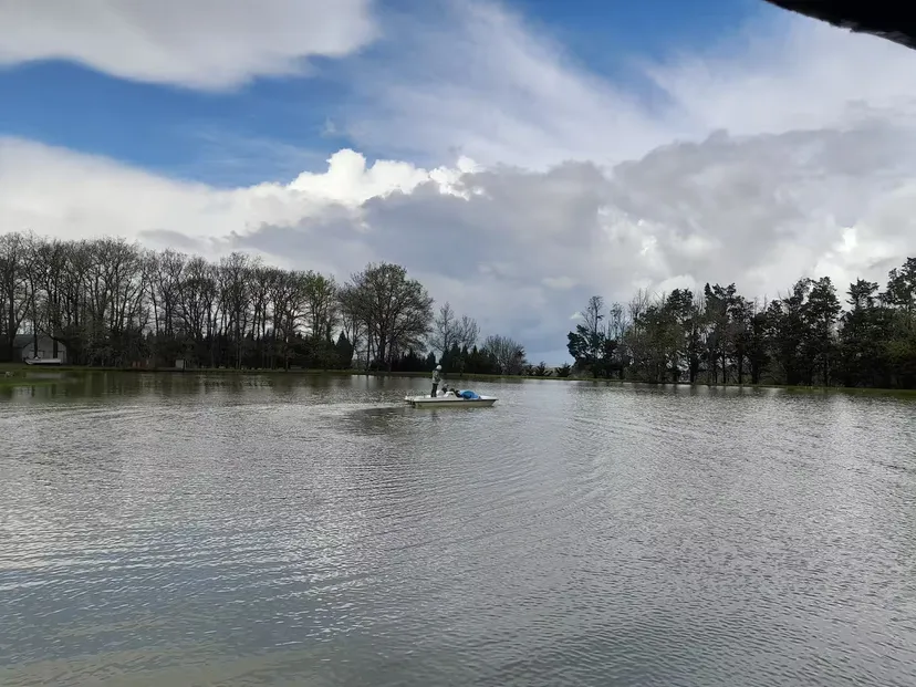 Private ponds for fishing - up to 10 people - 30 min from Nantes