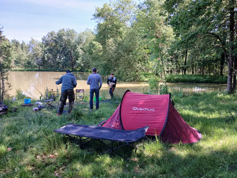 Private ponds for fishing - up to 10 people - 30 min from Nantes