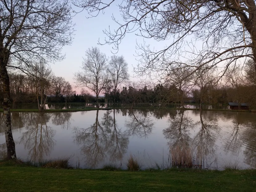 Private ponds for fishing - up to 10 people - 30 min from Nantes